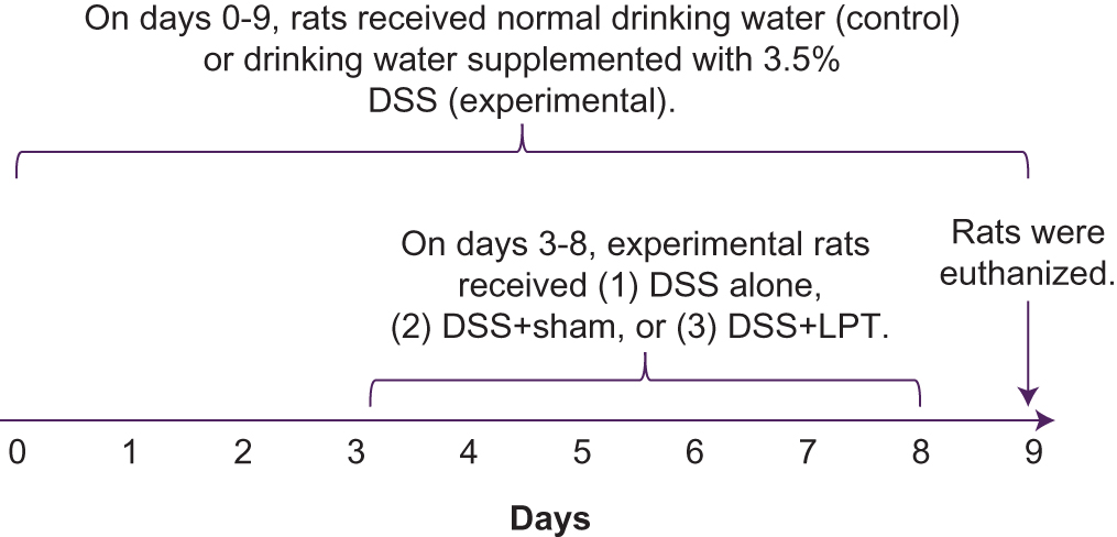 Figure 1. Study design. On days 0 to 8, normal drinking water was replaced with water containing a 3.5% dextran sodium sulfate solution (DSS) for the experimental rats. Healthy rats (negative controls) received normal drinking water or no treatment or anesthesia. On day 3 after induction, experimental rats were randomized into 3 treatment groups, and on days 3-8, they received (1) no treatment or anesthesia; n=17; (2) 4 minutes of sham treatment with anesthesia (n=18); or (3) 4 minutes of lymphatic pump treatment (LPT) with anesthesia (n=18). Nine days after the induction of inflammatory bowel disease, rats were euthanized, and their colons and gastrointestinal lymphoid tissue were collected. Colon weight, histopathologic findings, disease activity index, and the concentration of leukocytes were measured.