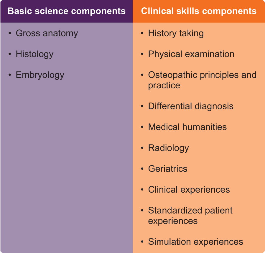 Figure 1. The basic science and clinical skills components of the 4-semester Osteopathic Clinical Skills course at University of New England College of Osteopathic Medicine. Figure was made by Oran Suta.