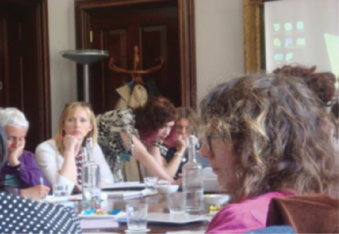 Figure 1: Workshop on Gender and Local Ownership, Carlton House, June 2013.